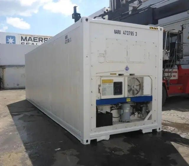 30 Feet Freezer Container Customized Mobile Cold Storage Cell for sale at Ironyard