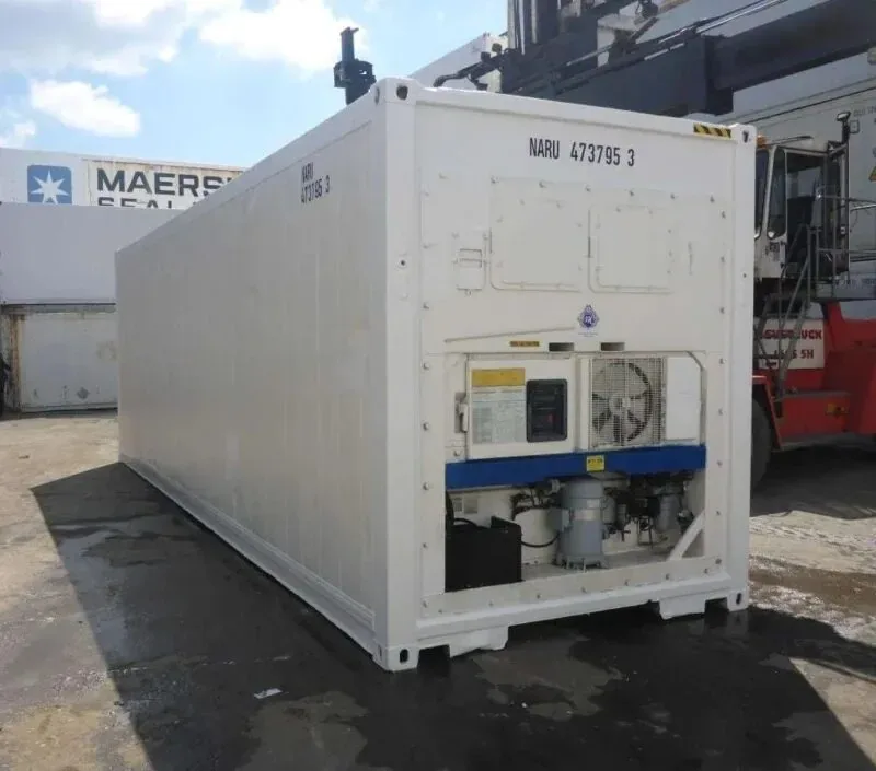 30 Feet Freezer Container Customized Mobile Cold Storage Cell for sale at Ironyard